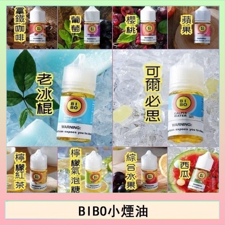BIBO BIBO經典系列主機小煙油30ML
